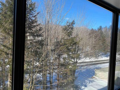 23 Black Bear Rd unit 307, Waterville Valley, NH 03215 - photo 7