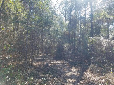 Trail Head