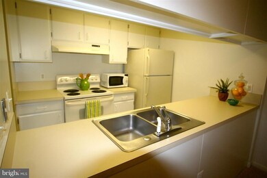 3321 S Leisure World Blvd unit 981B, Silver Spring, MD 20906 - photo 7