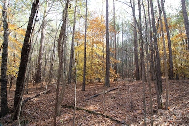 5+/-AC Bookout Rd, Rock Hill, SC 29730 - photo 7