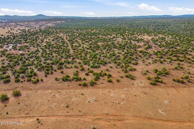 TBD Silver Lake Blvd 16 32 Acres -- unit L & N, Show Low, AZ 85901 - photo 6