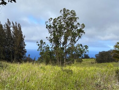 0 Palikekua St unit 722634, Honokaa, HI 96727 - photo 5