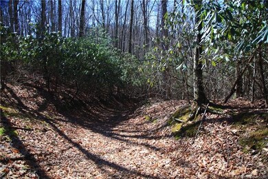 1464 Roaring Fork Rd, Burnsville, NC 28714 - photo 5