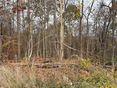 View of local wilderness
