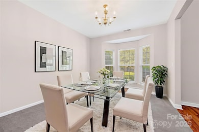 8917 Cedar Run Way, Charlotte, NC 28273 - photo 3