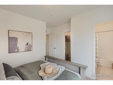 1003 Schlagel St unit 4, Fort Collins, CO 80524 - photo 7