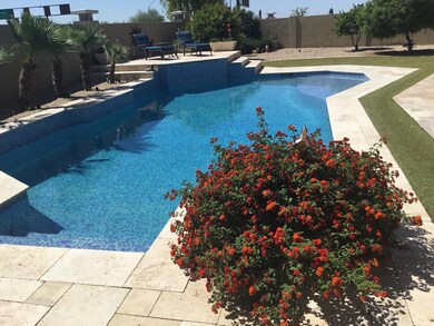 Septer backyard