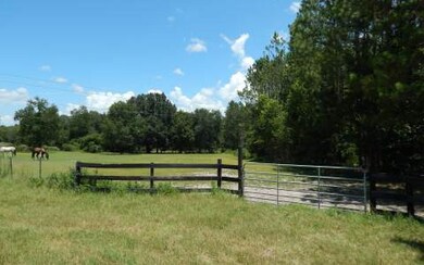 0 Bald Eagle Loop unit 94849, Lake City, FL 32025 - photo 2
