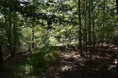 0 Sam Baughman Rd unit LotWP001 24575594, Stanford, KY 40484 - photo 2