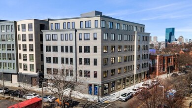 16 Taber St unit 402, Boston, MA 02119 - photo 4