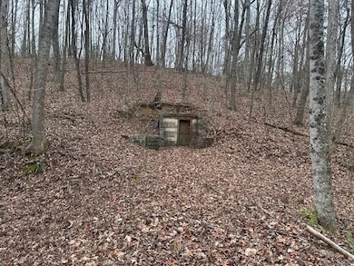 120.62 Browns Hollow Rd, Tracy City, TN 37387 - photo 2