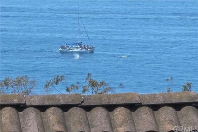Whale watching from your private balcony!