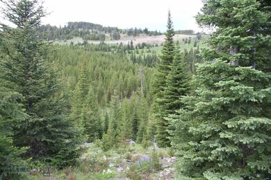 0 Eagle View Trail unit 206501, Big Sky, MT 59716 - photo 6