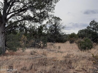 Lot 1396 Juniper Way, Seligman, AZ 86337 - photo 4