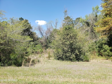 700 Academy, Fair Bluff, NC 28439 - photo 6