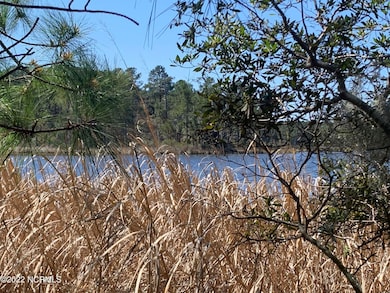 24 Bailey Pointe Rd, Belhaven, NC 27810 - photo 5