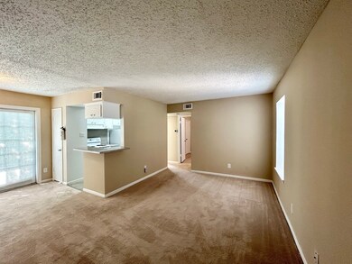 3902 Mandell St unit 8, Houston, TX 77006 - photo 5