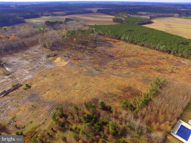 21566 Vaughn Rd, Georgetown, DE 19947 - photo 5