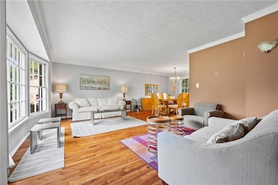 Living room featuring a chandelier, light wood-type flooring, a textured ceiling, and crown molding