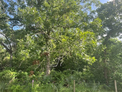 0 Cr 353 unit 12686958, Brazoria, TX 77422 - photo 3