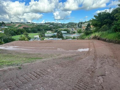 0 Carr 155 Km 31 2 Int Bo Barros, Orocovis, PR 00720 - photo 2