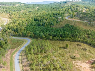 LT 299 Twisted Oak Rd, Talking Rock, GA 30175 - photo 4