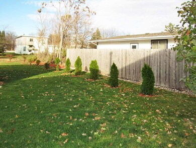 Back Yard - New Trees