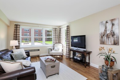 Bright Living Room