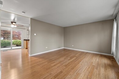 186 Chestnut Ln, Bolingbrook, IL 60490 - photo 3