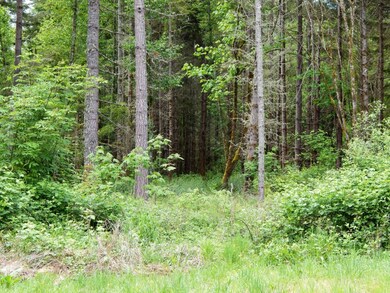 14630 164th Ln SE, Rainier, WA 98576 - photo 7