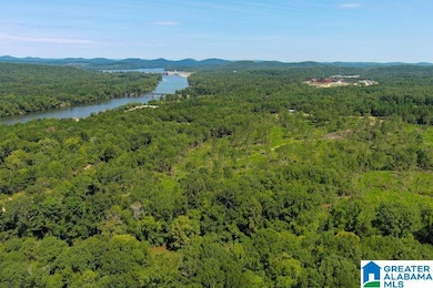 209 Harts Ferry Rd unit 2, Ohatchee, AL 36271 - photo 3