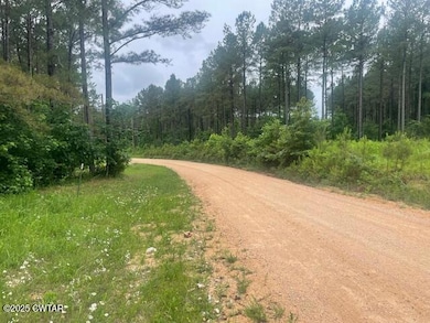 0 Bartlett Rd unit 2502351, Reagan, TN 38368 - photo 3