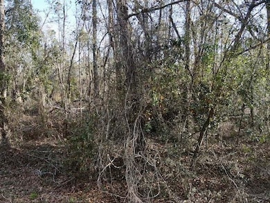 0 NE Cedar Trail unit 389161, Pinetta (Madison County), FL 32350 - photo 5