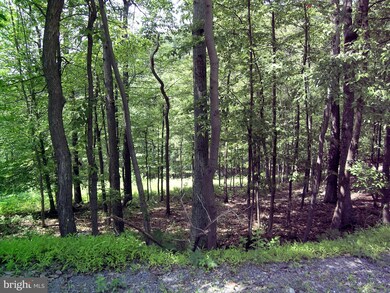 0 Applewood Dr unit 1005209587, Front Royal, VA 22630 - photo 4