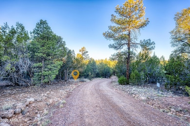 2333 Elk Ridge Ln unit 4H, Overgaard, AZ 85933 - photo 7