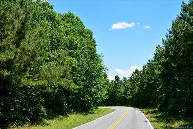 001 Vesuvius Furnace Rd unit 1, Ironton Township, NC 28080 - photo 2
