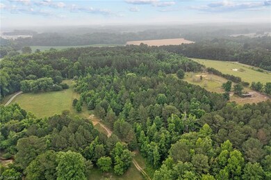 403 Chatham View Rd, Ramseur, NC 27316 - photo 7