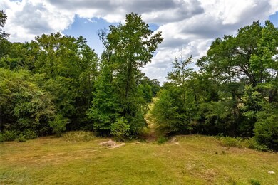 0 S Farm Road 269 unit 18127800, Pickton, TX 75471 - photo 4