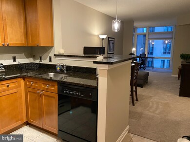 The Crescent unit 411, Silver Spring, MD 20910 - photo 2