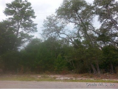 9 Fisher Way Place, Ocklawaha, FL 32179 - photo 7