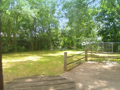 Backyard 1