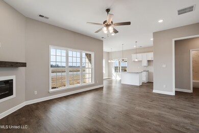 5330 Aylesbury Ln, Olive Branch, MS 38654 - photo 6