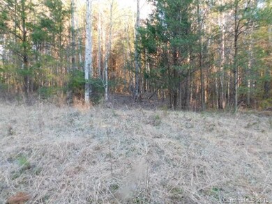 10.81 Ac. Fairmount Rd unit 2, Statesville, NC 28625 - photo 4