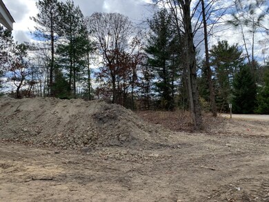 13811 Tamara Ln, Sawyer, MI 49125 - photo 5