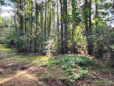 0 Lowery Rd unit Lot 11 668532, Atmore, AL 36502 - photo 6