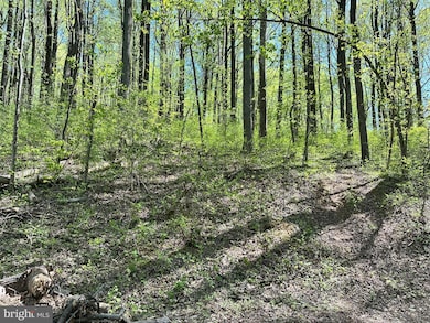 0 Wambach Ct, Shenandoah, VA 22630 - photo 3