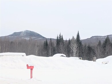 31.5 Ac Cheney Rd, Lowell, VT 05847 - photo 5