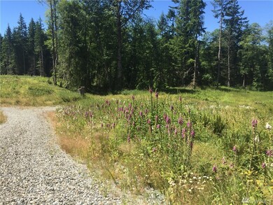 36 Lalka Ln, Langley, WA 98260 - photo 4