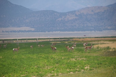 0 Tbd Black Rock Rd unit LotWP001, Kanosh, UT 95603 - photo 2