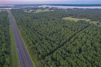 0 E S Sh 155, Frankston, TX 75763 - photo 4